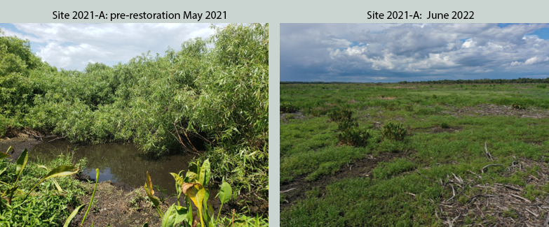 side-by-side comparison of site 2021-A one year