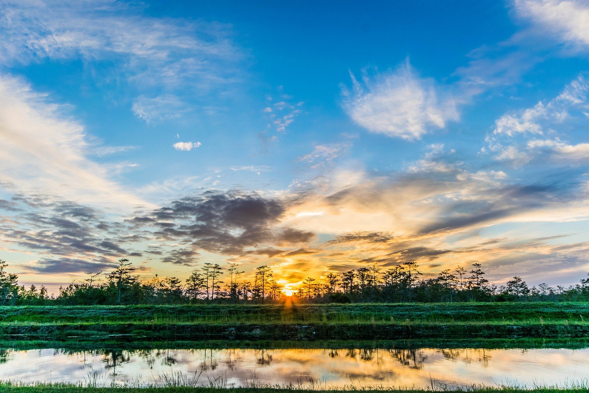 The sun setting over an Everglades landscape, with low trees and water in the foreground.