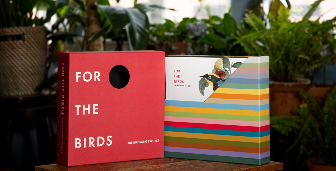 Birdsong Project box set.