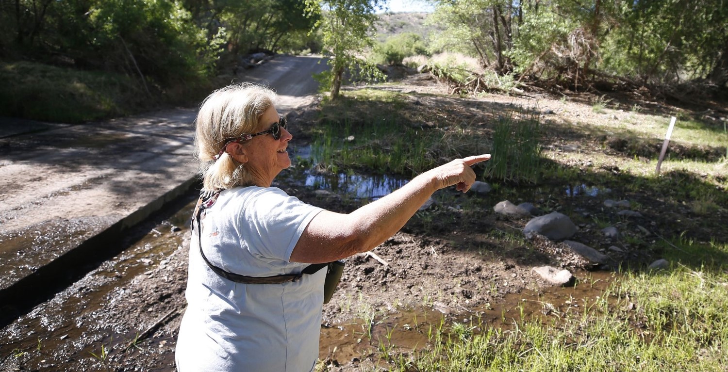 Tice points to a bird off-camera in a riverside habitat.