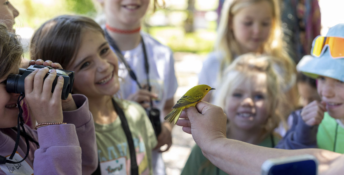 An adult holds a Yellow Warbler while a small group of children examine it. 