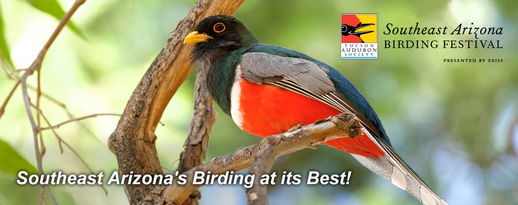 An Elegant Trogon sits on a branch. Text reads: Southeast Arizona's birding at its best! Southeast Arizona Birding Festival. Logo: Tucson Audubon Society