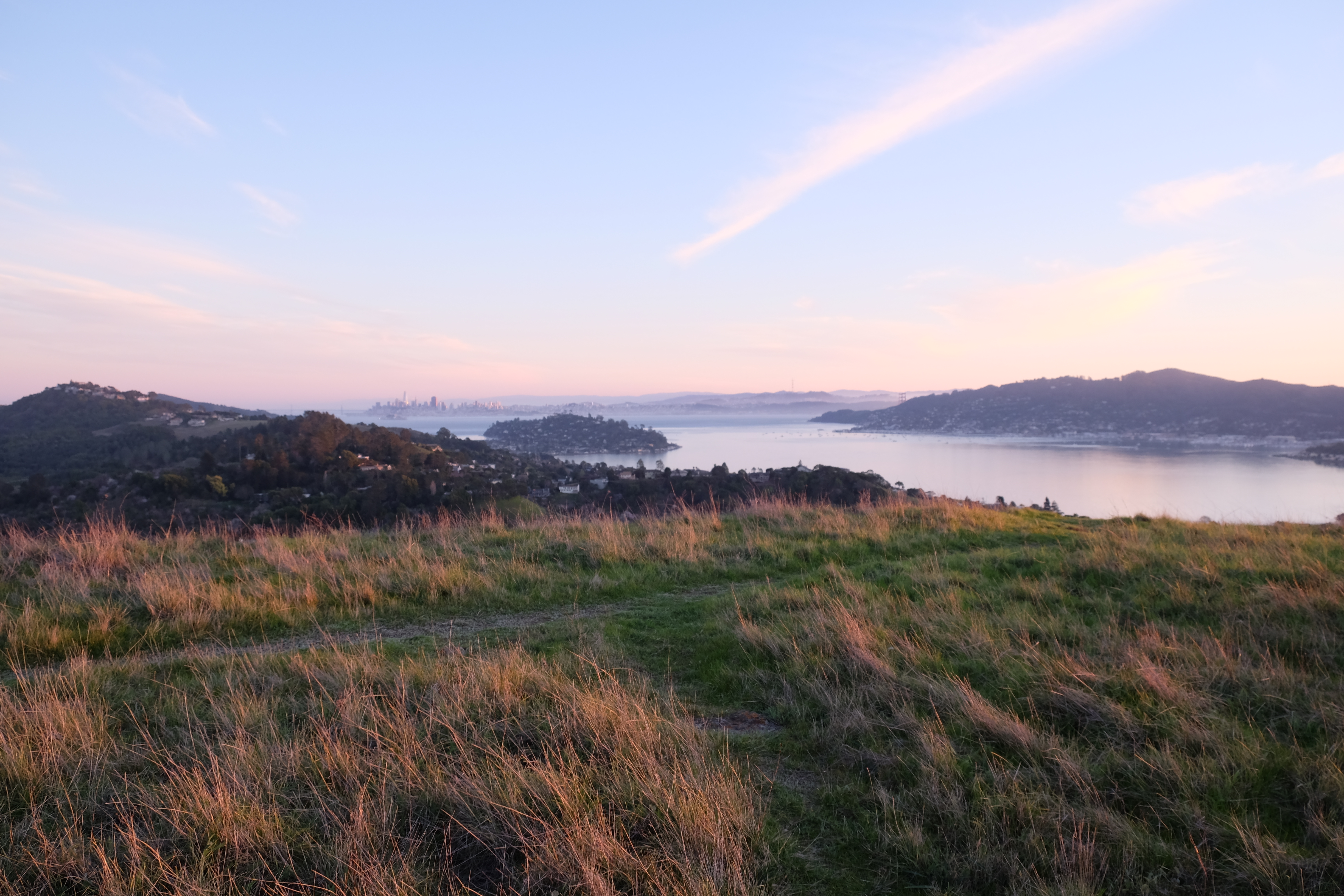 A pastel sunset over the skyline of San Francisco with grassy Marin outlook in foreground.