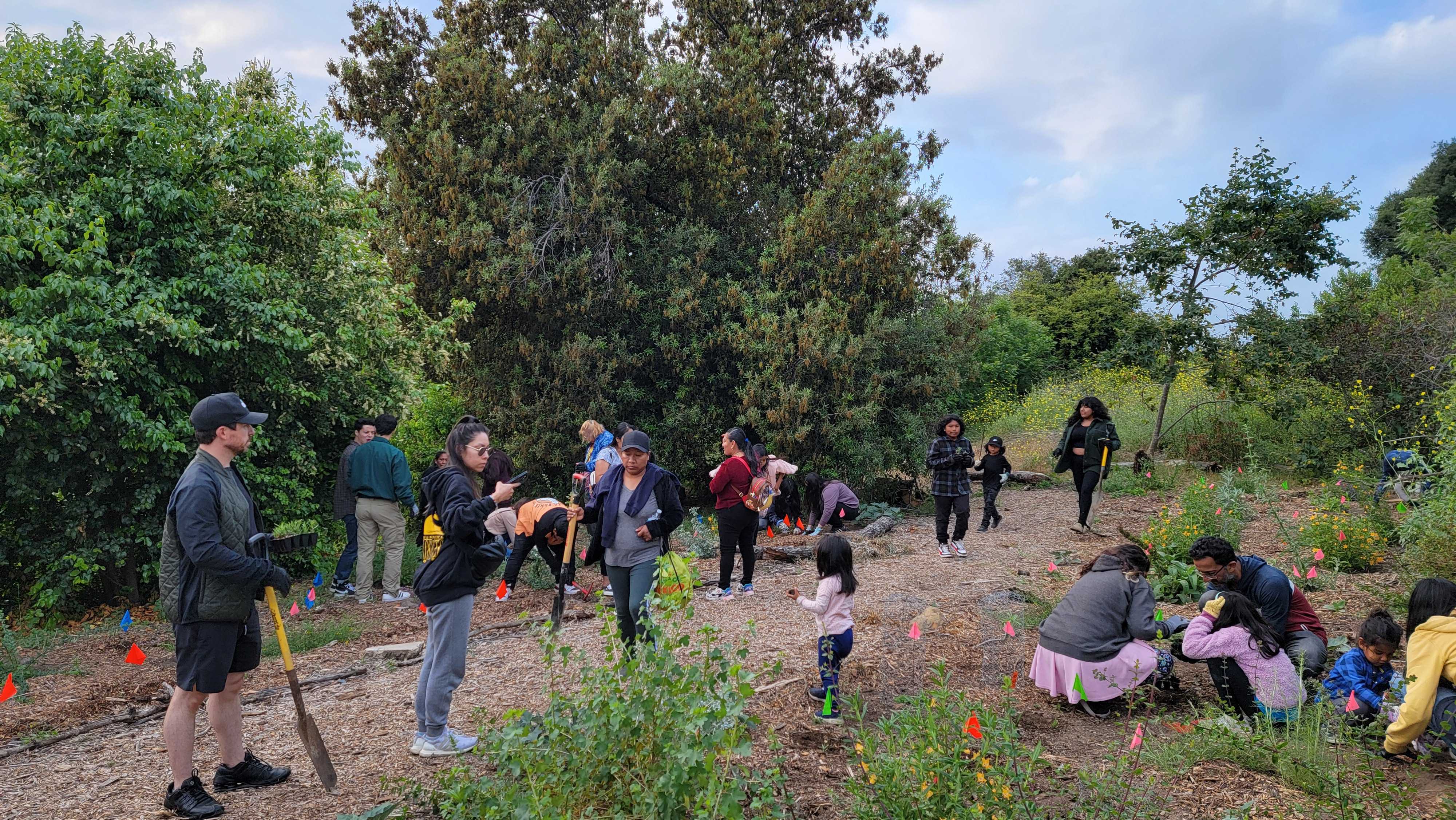 A group of people with gardening tools are gathered around a restoration site.