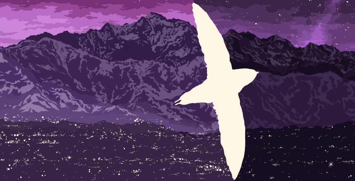 An illustration of a bird in flight above bright and dimmed outdoor lights.