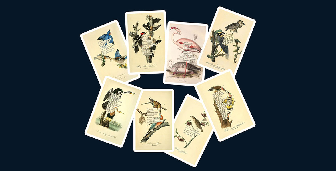 An Almanac of Birds: 100 Divinations for Uncertain Days.