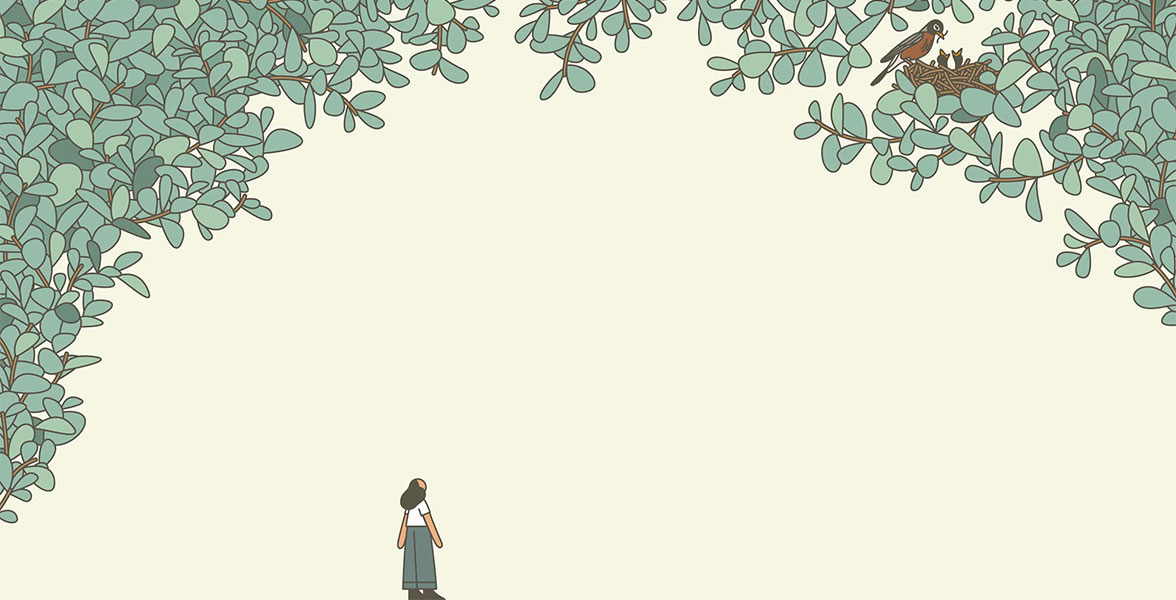 A person with binoculars looks up at an American Robin nest in a tree.