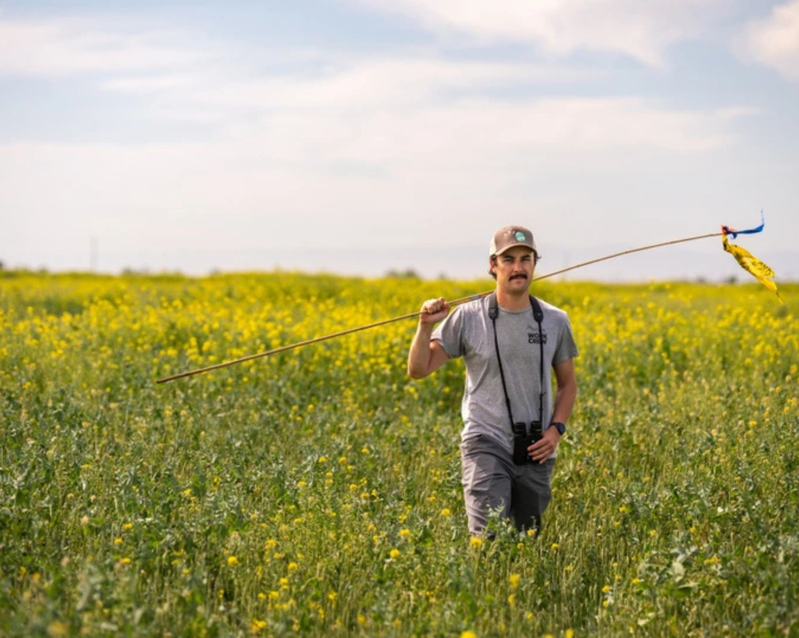 Biologist Ian Souza-Cole holds a boundary marker (for marking nesting Tricolored Blackbird colony boundaries) made of bamboo, duct tape, and brightly colored barricade tape. Photo: Alecia Smith/Audubon.