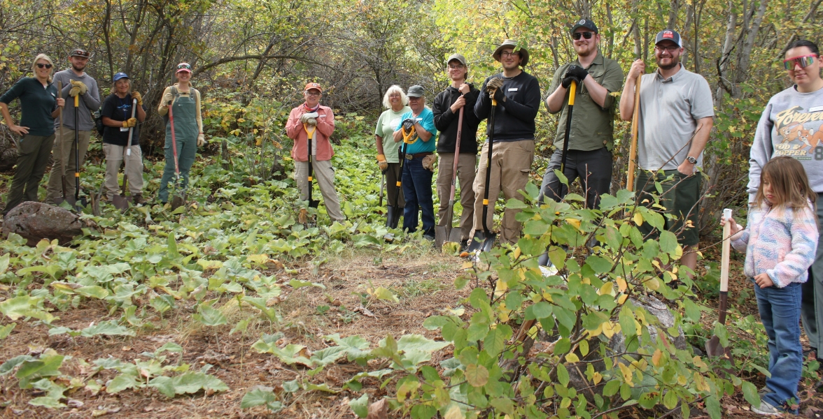 A group of Wyoming Naturalists stands in a small section of the burdock patch before starting to remove plants.