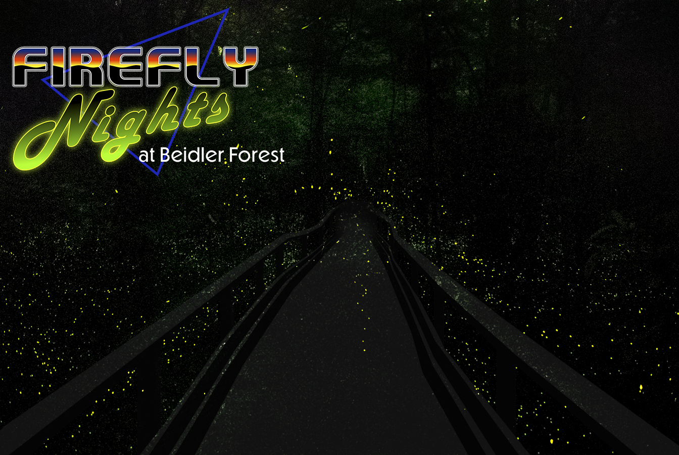 Illustrated night scene of a boardwalk surrounded by glowing fireflies in a dark forest at Beidler Forest. The words “Firefly Nights at Beidler Forest” appear in neon-style text. Image by Richard Covey.