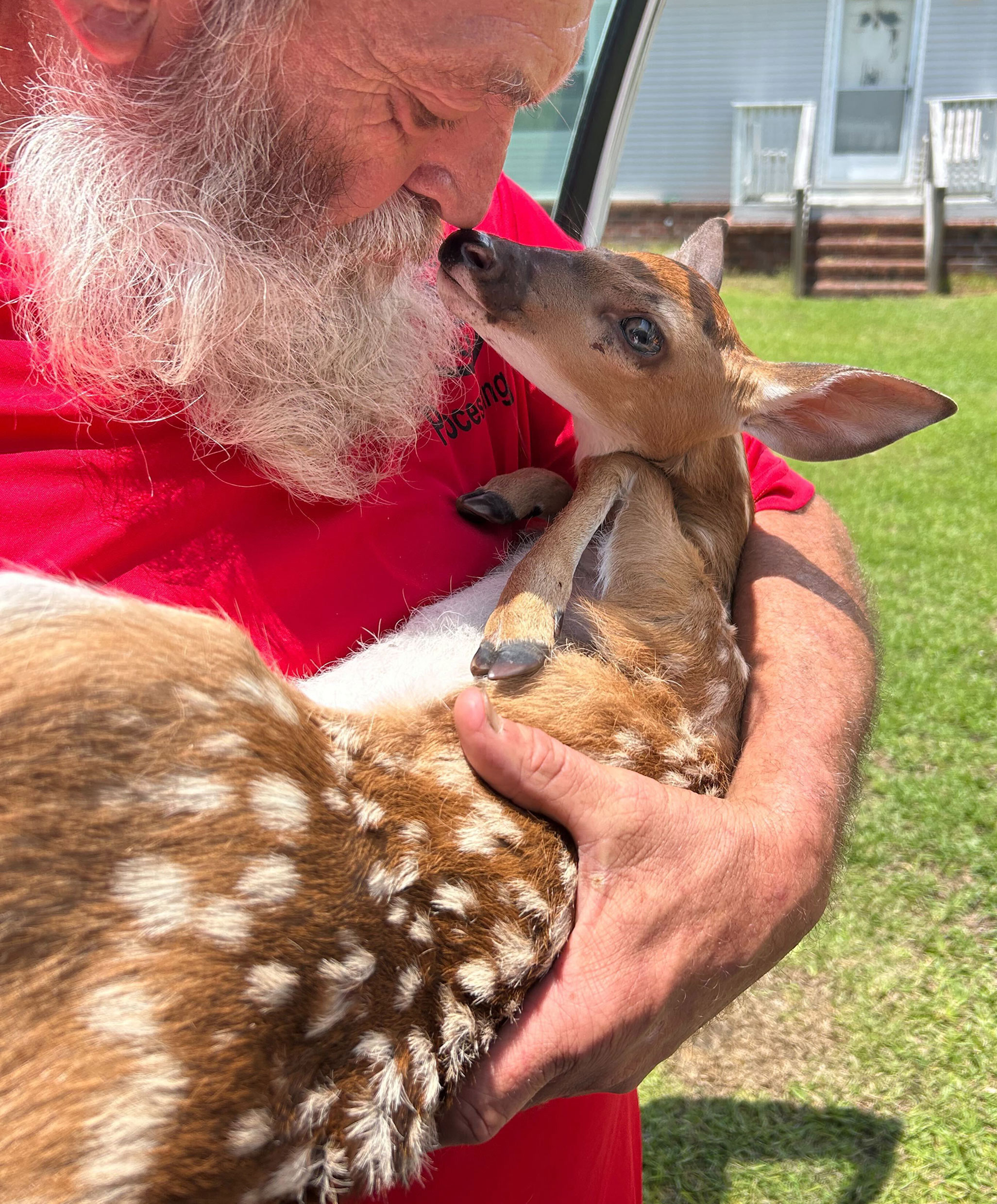 A bearded man in a red shirt gently holds a spotted fawn in his arms. The fawn nuzzles close to the licensed wildlife rehabilitator as they touch noses. Photo by Macy Beckman.