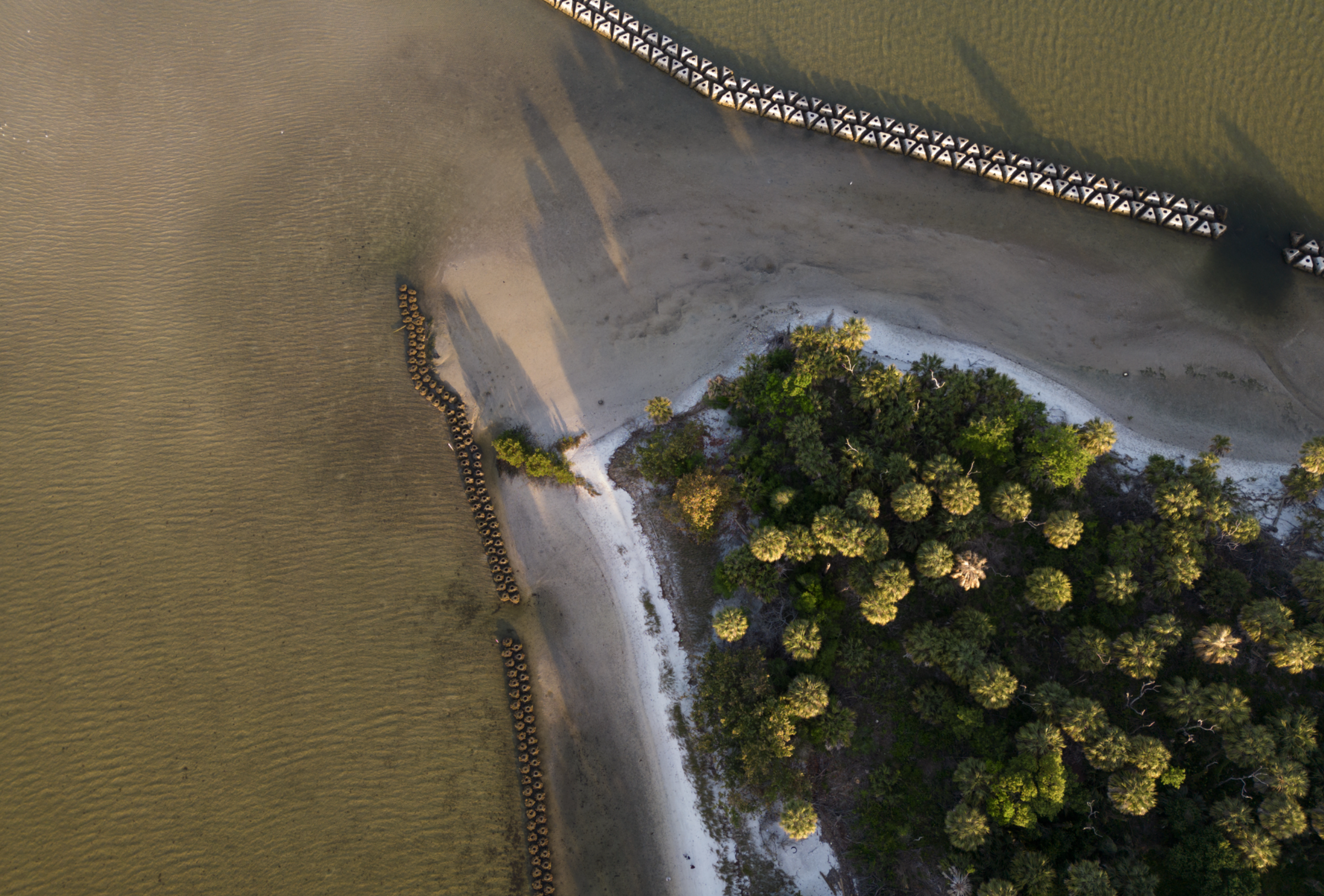 Aerial view of a living shoreline. 