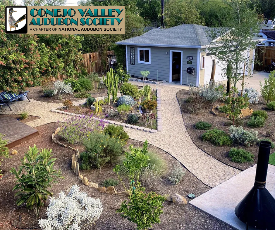 Conejo Valley Audubon Society's Lawns to Habitat Grant Program