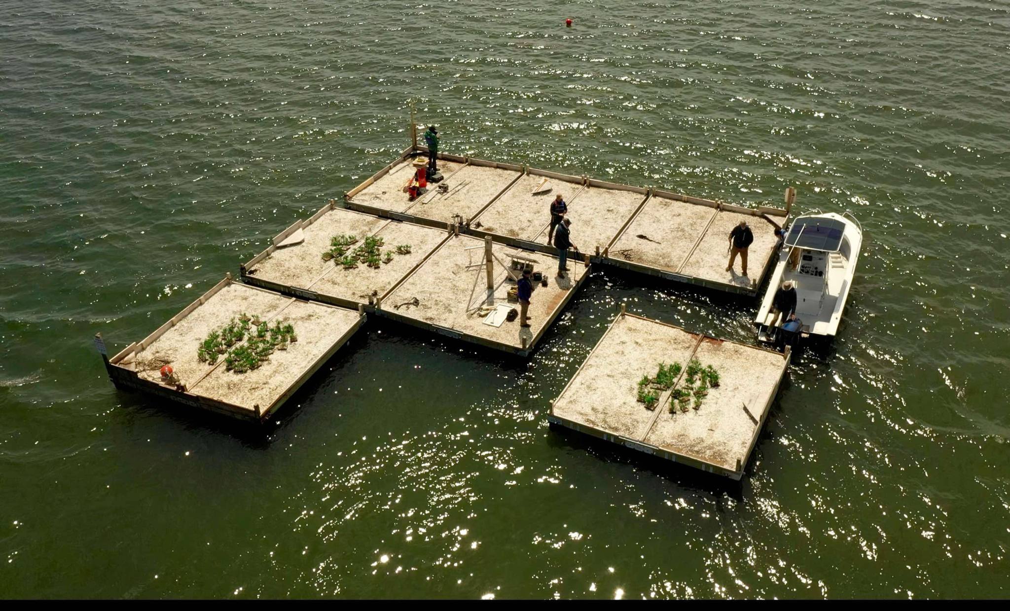 Tern raft installation. 