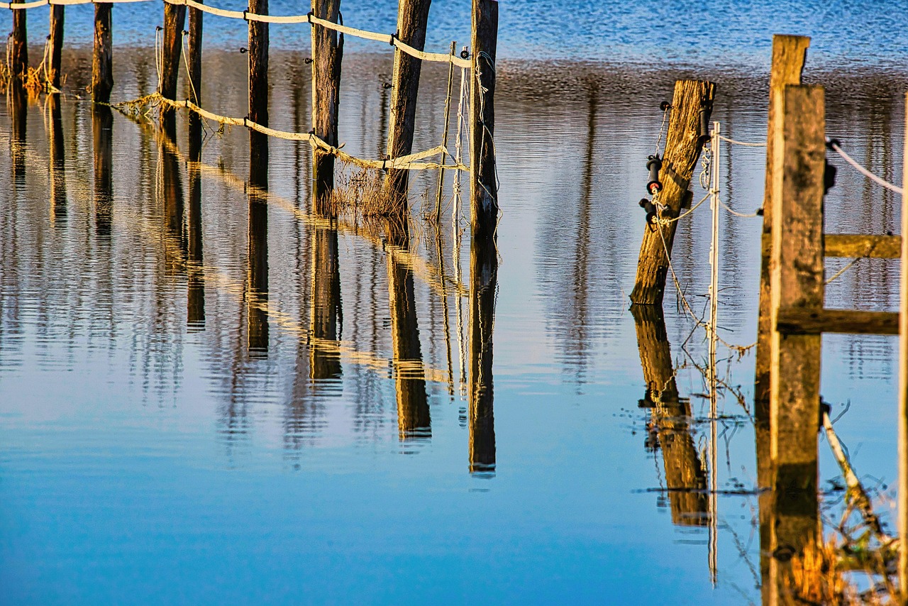 fence posts in water