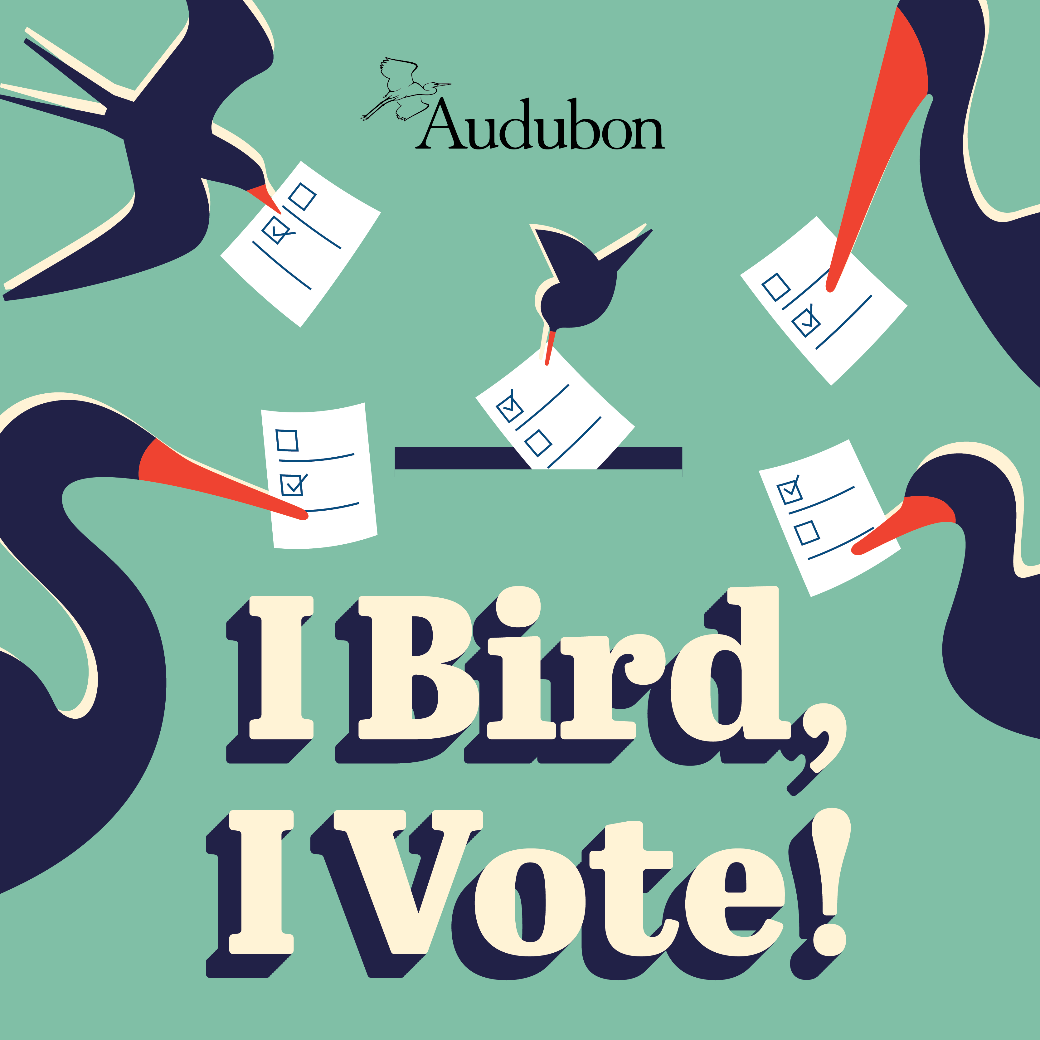 I bird, I vote 