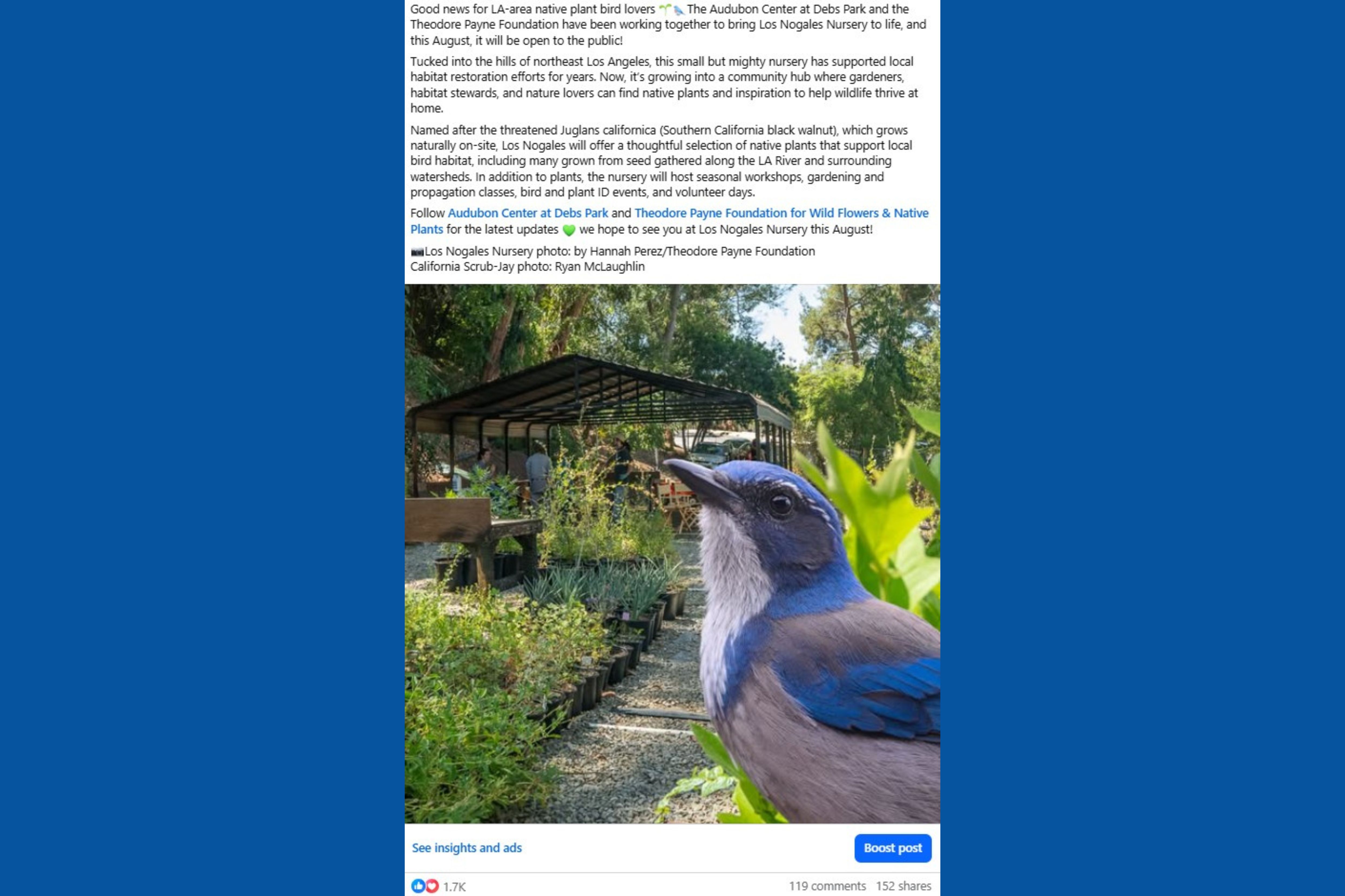 Los Nogales Nursery photo: by Hannah Perez/Theodore Payne Foundation California Scrub-Jay photo: Ryan McLaughlin