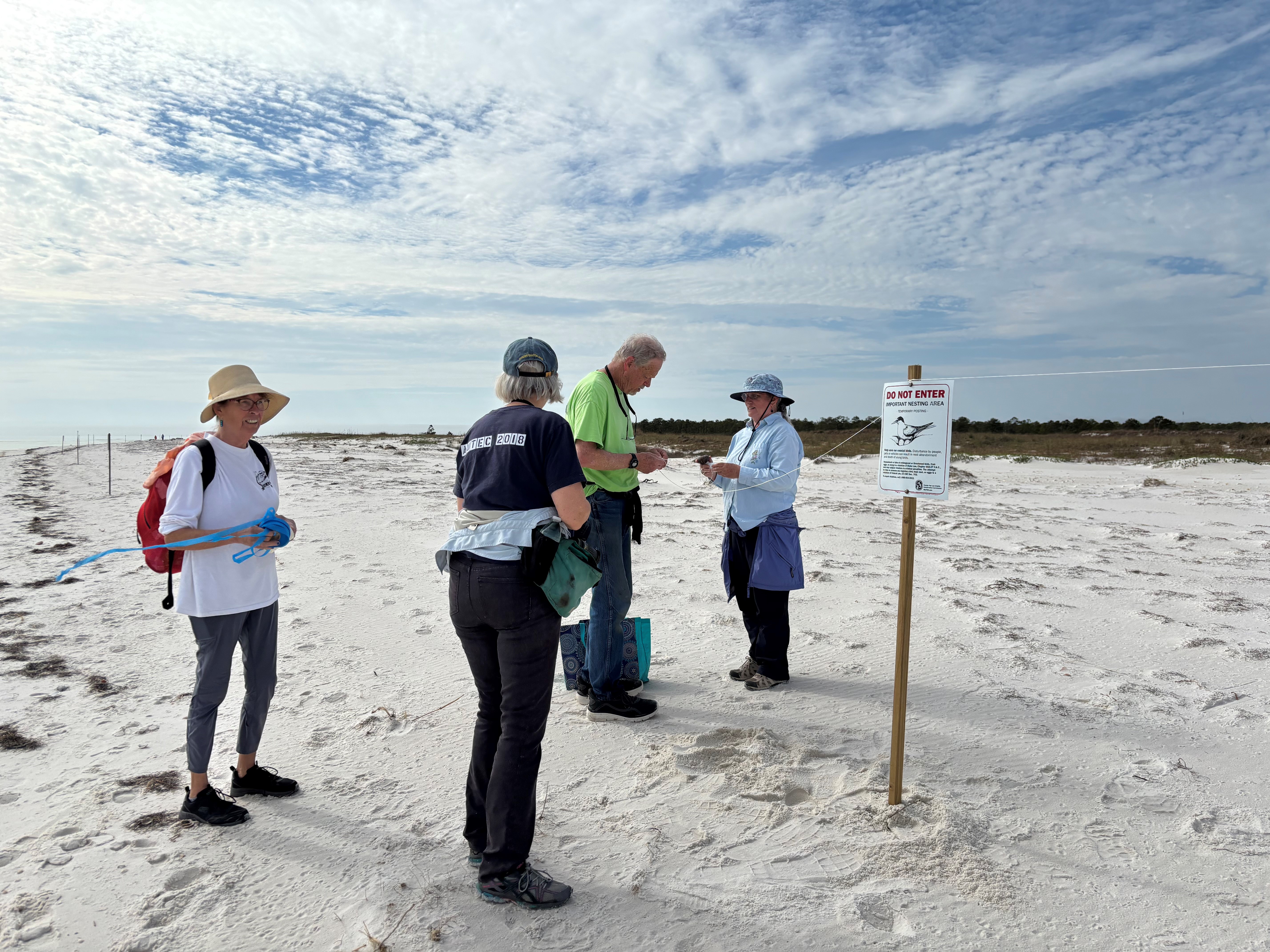 people standing on the sand