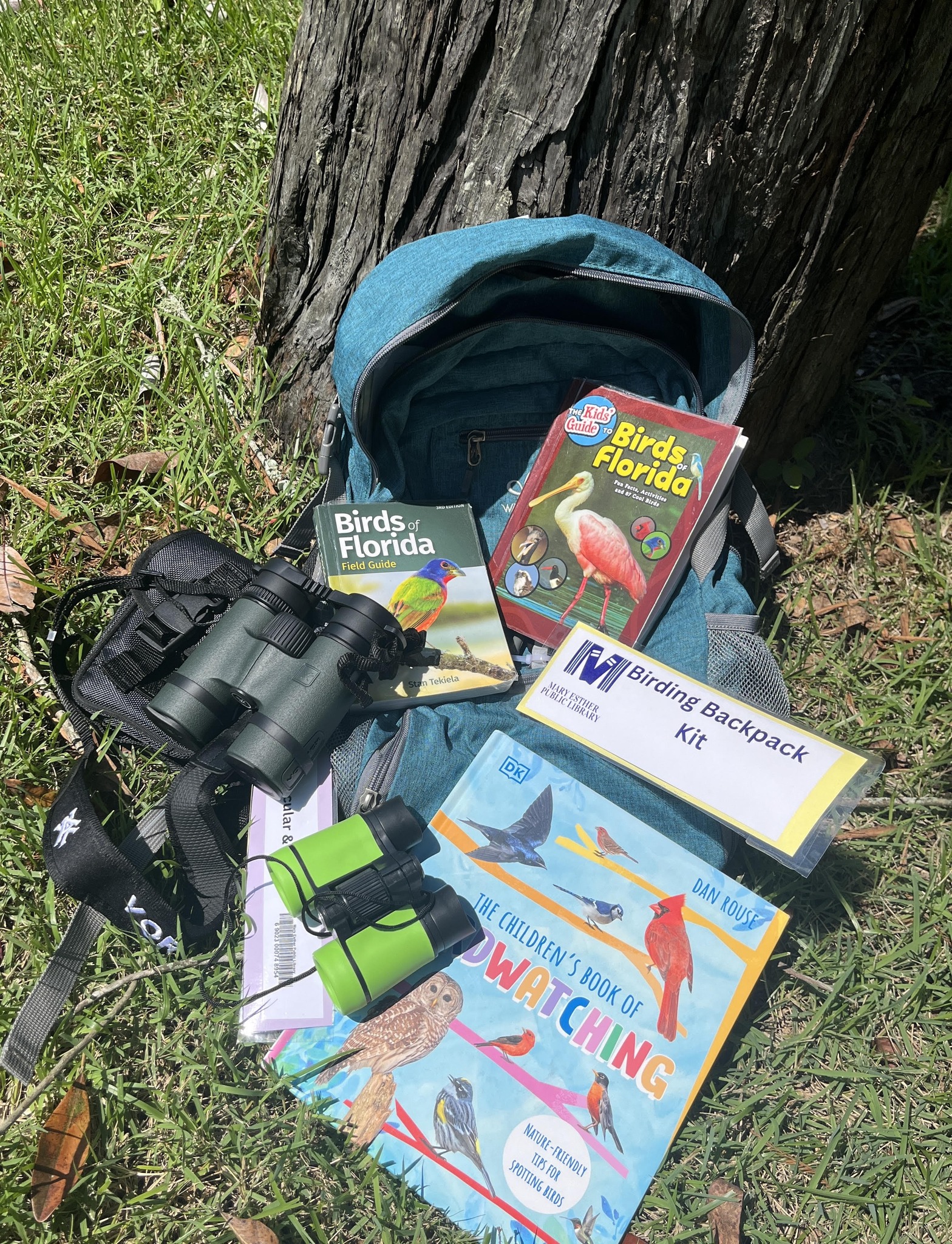 backpack full of binoculars and bird guides