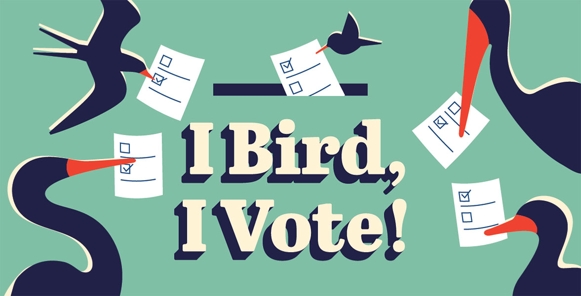 Birds with ballots in their beaks surround text reading "I Bird, I Vote!"