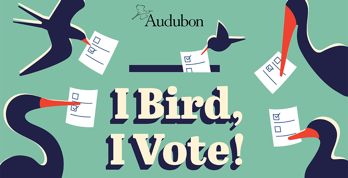 A graphic depicting the silhouettes of various bird species holding ballots in their bills, surround the words &ldquo;I Bird, I Vote!&rdquo;