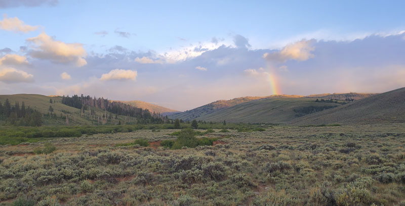 A rainbow over sagebrush steppe landscape.