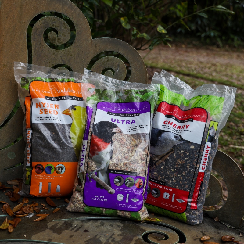 Three bags of Audubon Bird Seed on a bench.