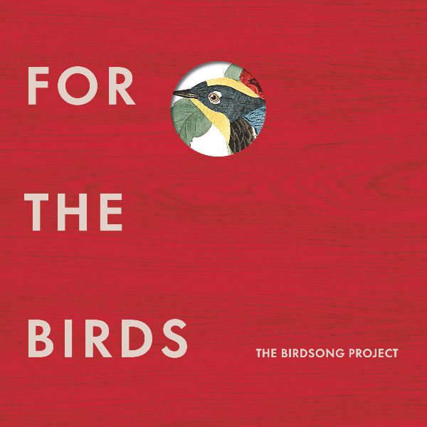 Cover art, The Birdsong Project LP.