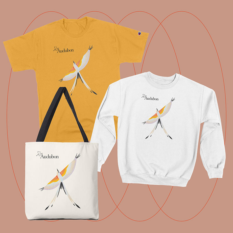 The Aviary: Scissor-tailed Flycatcher t-shirt, sweatshirt, and totebag.