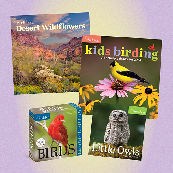 Audubon 2024 Calendars.