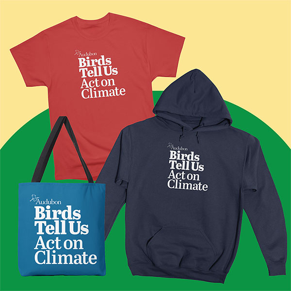 Birds Tell Us shirt, hoodie, and tote.