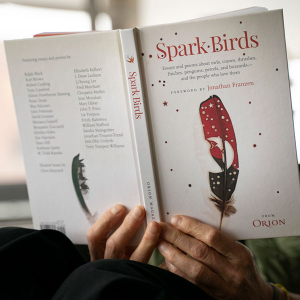 The Spark Birds book.