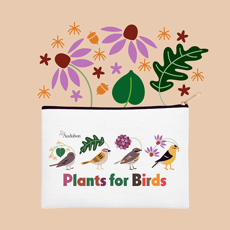 An illustration featuring Plants for Birds.