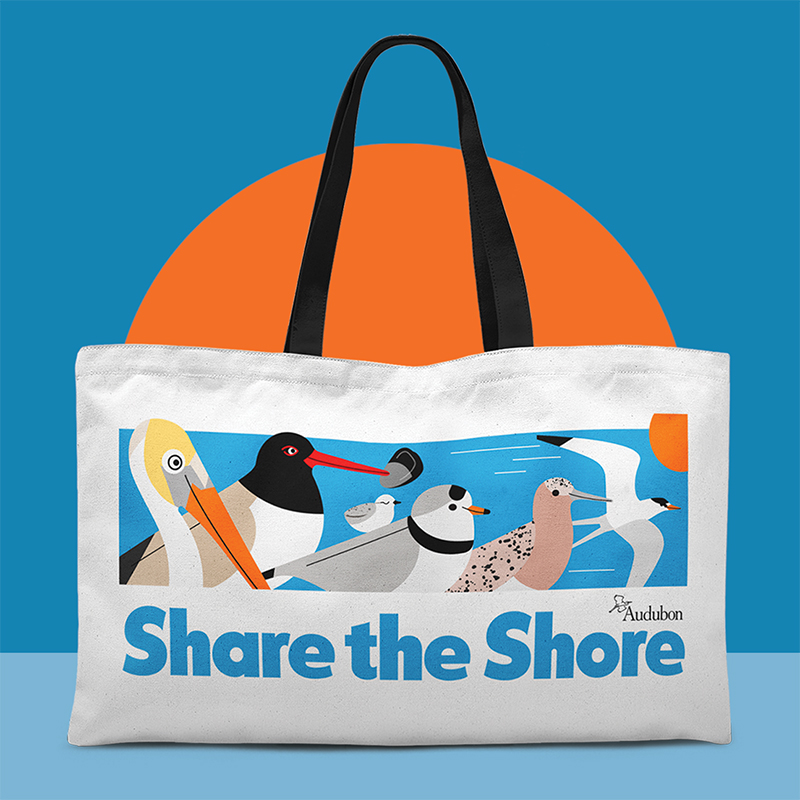 A Share the Shore beach tote.