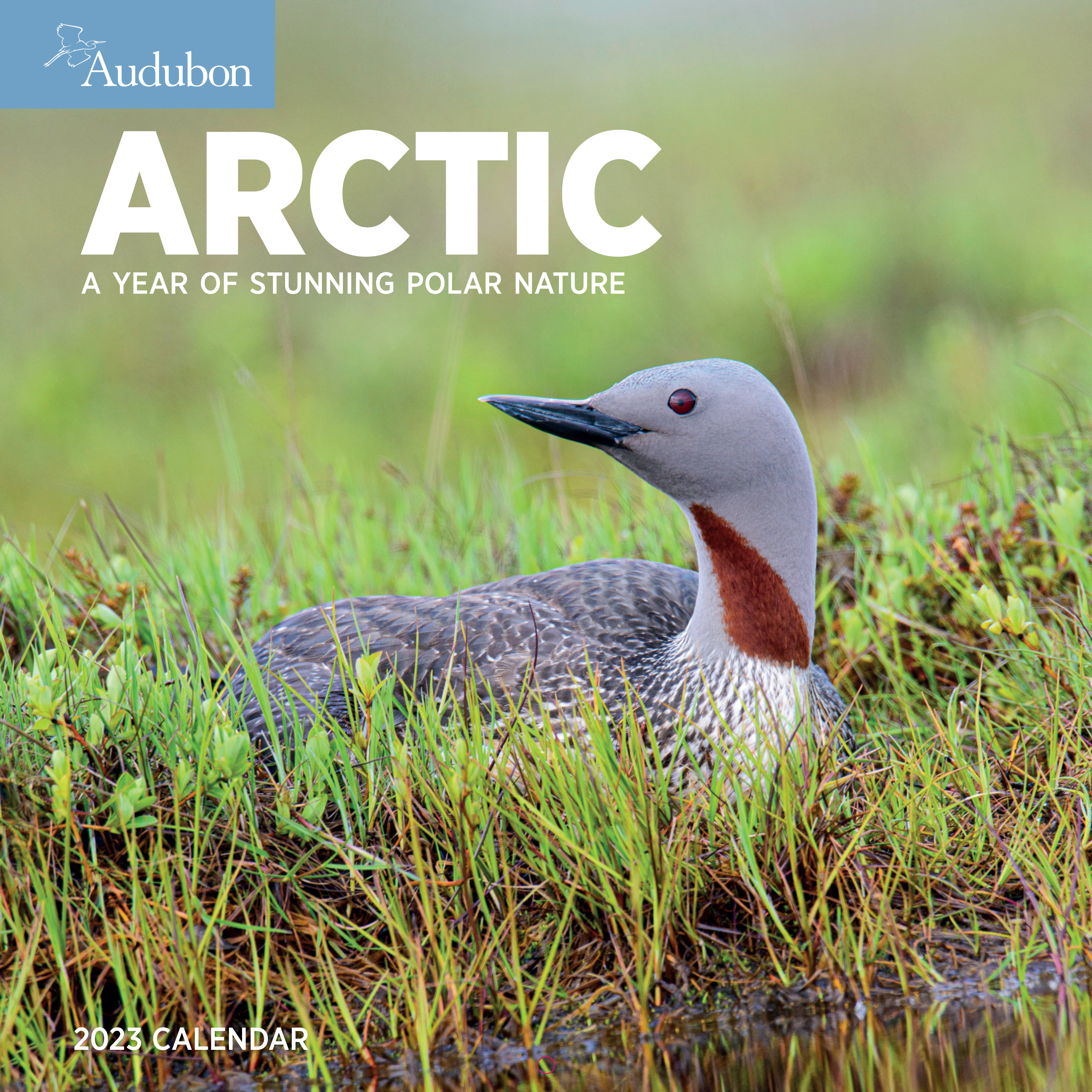 Cover of the 2023 Audubon calendar