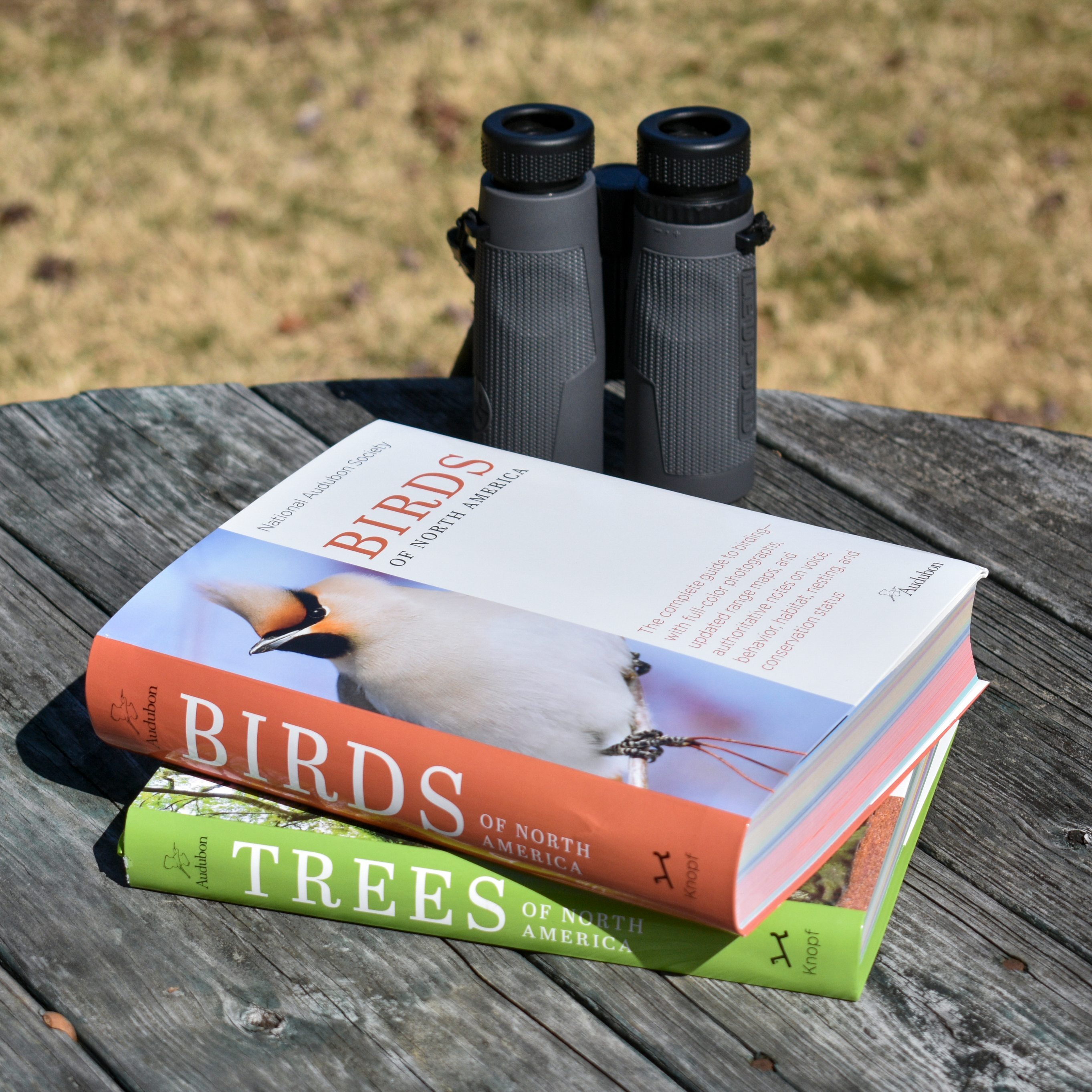 A pair of binoculars next to a stack of National Audubon Society Guides.