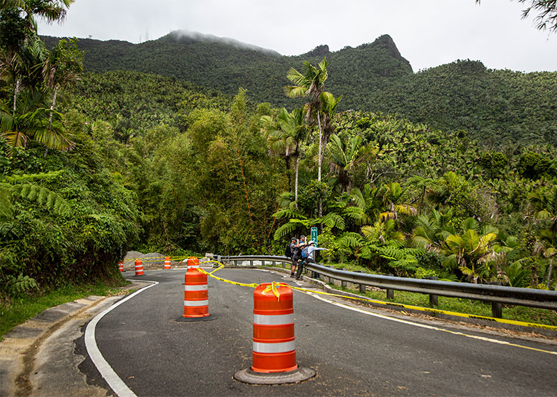 Visitors at El Yunque National Forest in Río Grande, Puerto Rico, in January, 2023.