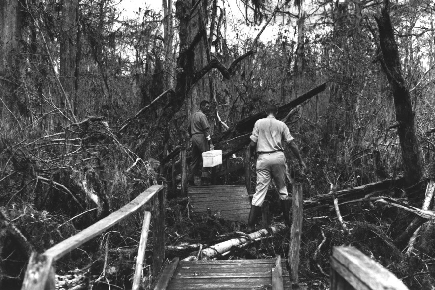 Black-and-white photo of the boardwalk with hurricane damage. 