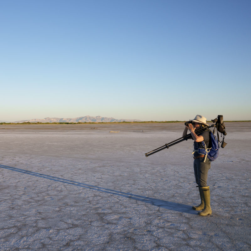 An adult looks across the landscape through binoculars.