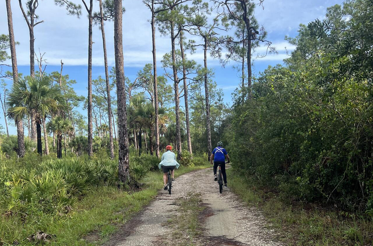 People participating in a bike tour.