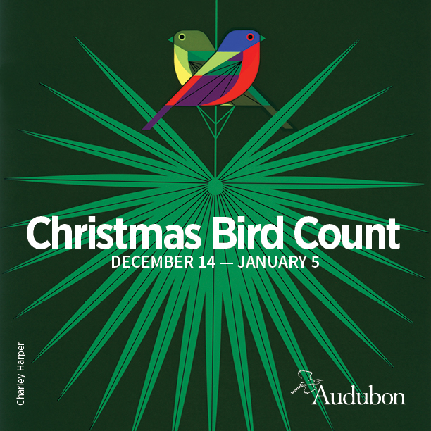 Christmas Bird Count