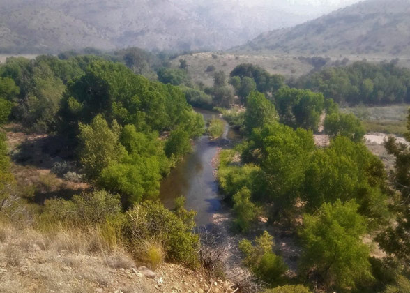 An aerial view of the Gila River with trees lining the banks and mountains in the background