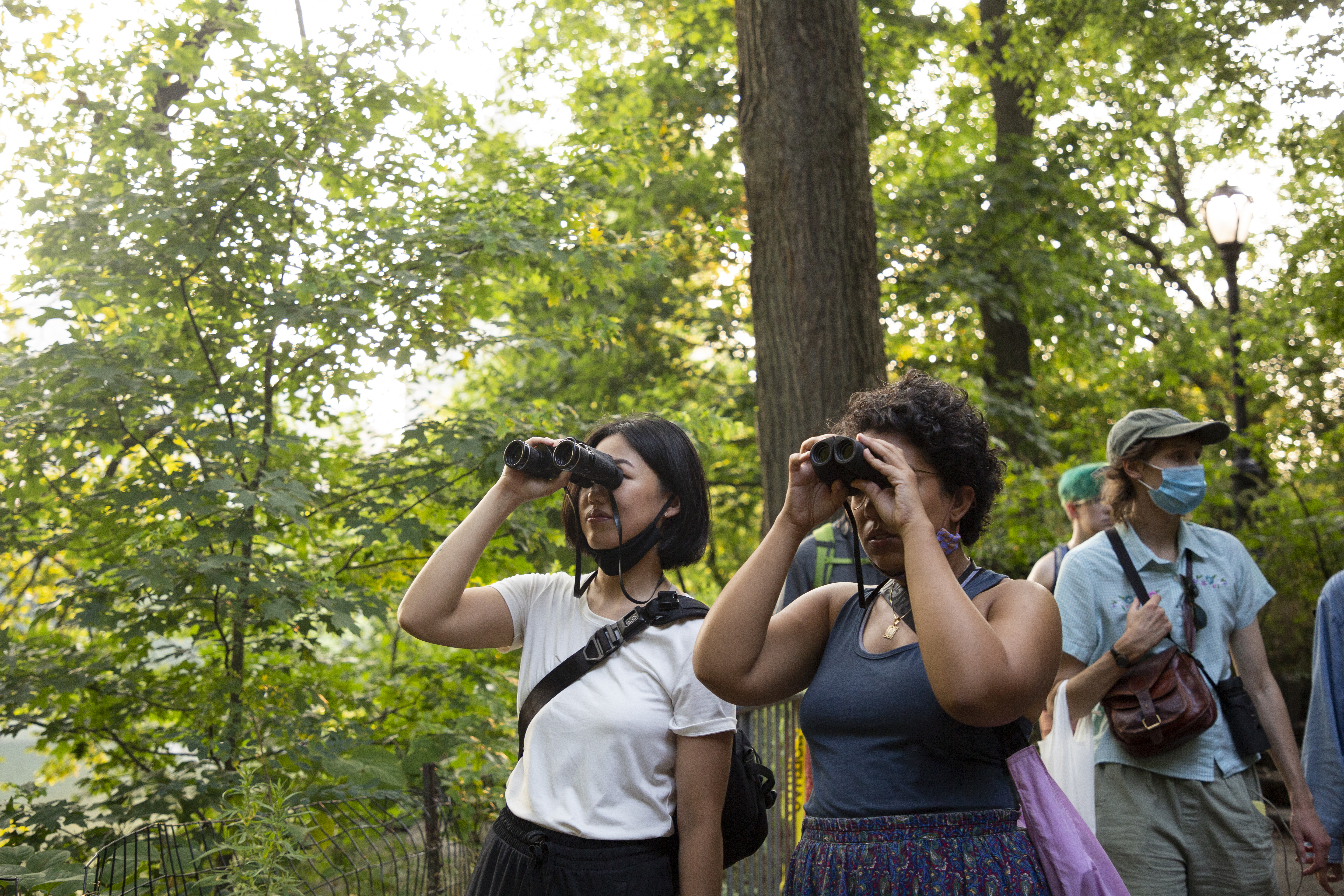 A group of birders with binoculars. 