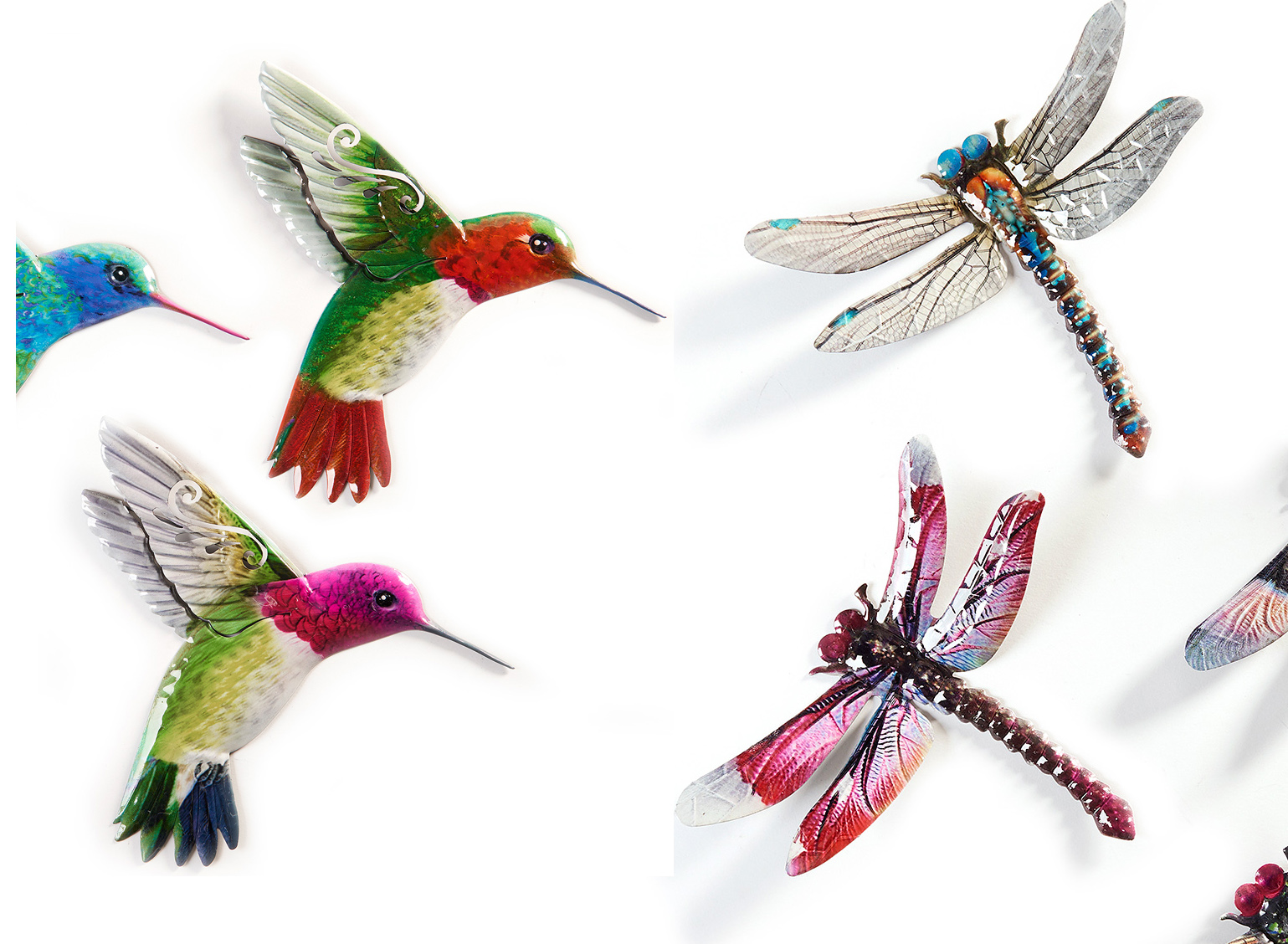 Colorful hummingbird and dragonfly art.