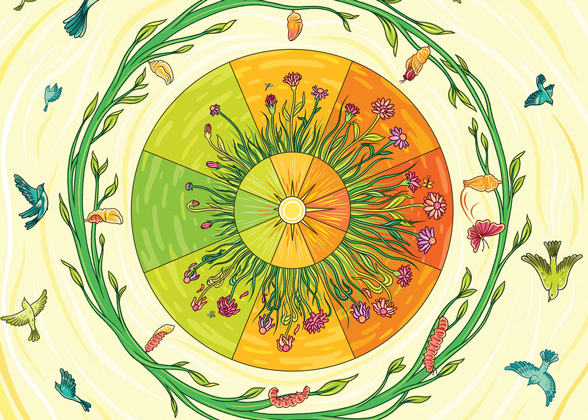 Illustration of a circle of vines and spring flowers surrounded by flying birds.