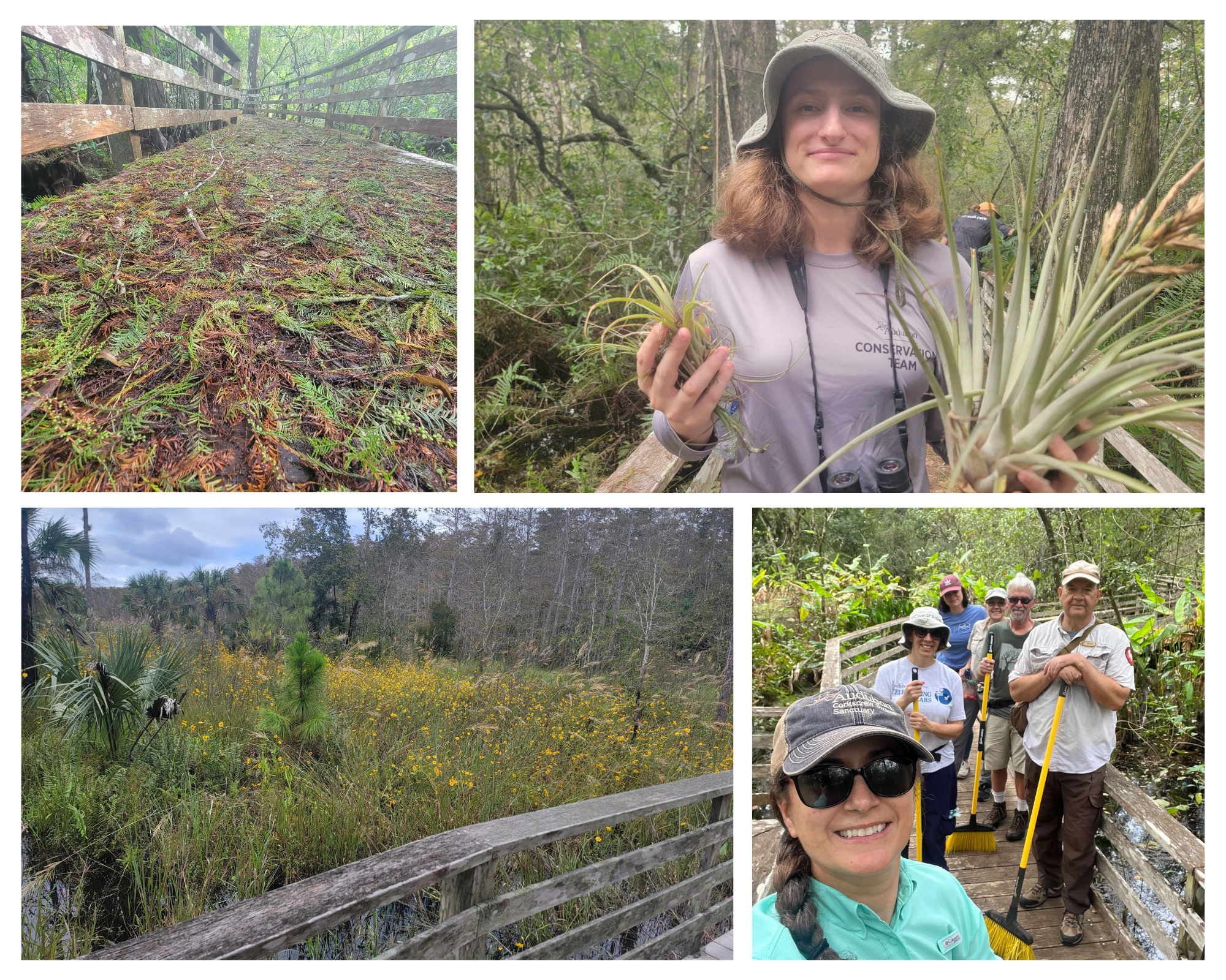 Collage showing leafy debris on the boardwalk, people cleaning up, and high water.