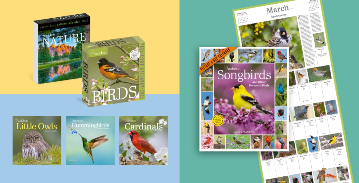 Audubon 2025 calendars.