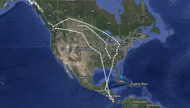 Swainson’s Thrush shows its migration journey between its breeding grounds in the Pacific Northwest, and its wintering grounds in Central America for three distinct migration routes: Fall of 2023 (right), Spring of 2024 (left) and Fall of 2024 (middle, where it passed through Chicago). Credit: Birds Canada. Motus Wildlife Tracking System. Accessed: https://motus.org/data/track?tagDeploymentId=51767 on October 29,2024.