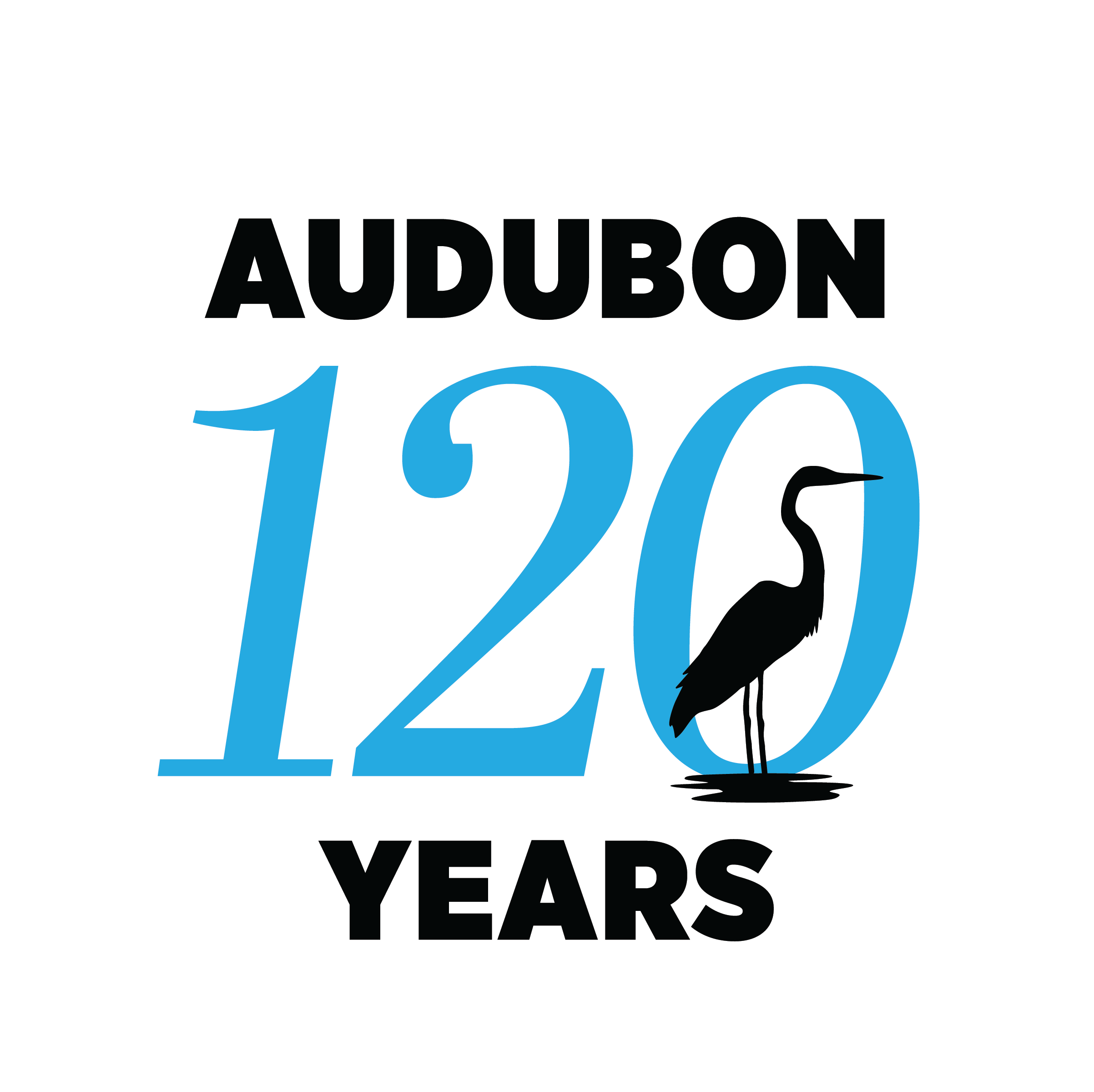 120th Anniversary Logo